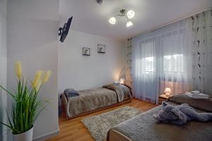 Łóżko lub łóżka w pokoju w obiekcie Apartamenty Bieszczady