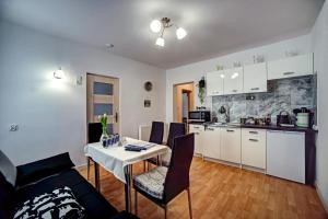 Kuchnia lub aneks kuchenny w obiekcie Apartamenty Bieszczady