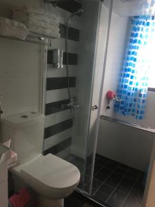 een badkamer met een toilet en een douche bij 星動小屋民宿 in Sanxing