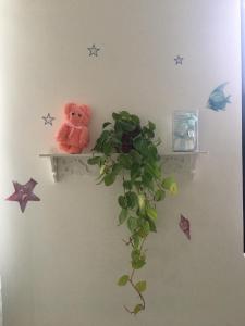 三星乡星動小屋民宿的相册照片