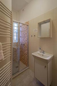 ein Bad mit einer Dusche, einem Waschbecken und einem Spiegel in der Unterkunft For celebrations spacious 3BDR apartment with balcony in Prag