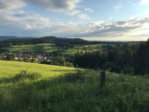 een uitzicht vanaf de helling van een groen veld bij Ferienwohnung Albblick in Streichen