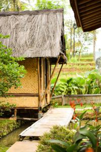 Gallery image of Paddies Homestay New in Cipaku-gede
