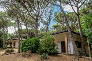 Vonkajšia záhrada v ubytovaní Arco Bungalow + 11 fotografií