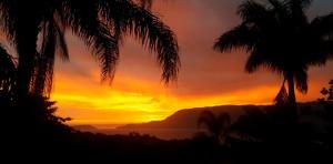 a sunset with palm trees in front of the ocean at Pousada Por do Sol in Ilhabela