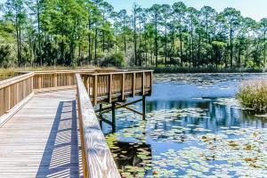 Landskap semula jadi dekat dengan apartmen