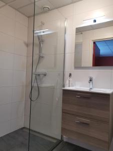 een badkamer met een douche en een wastafel bij Mooiplekkie Eext in Eext