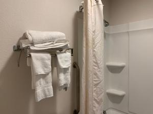 a bathroom with white towels hanging on a rack at Econo Lodge Troy in Troy
