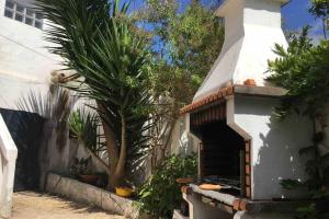 een buitenoven met een palmboom naast een gebouw bij La Casa Flores, maison traditionnelle portugaise in Odeceixe