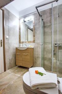 a bathroom with a shower and a toilet and a sink at Rent House Diamond in Iraklitsa