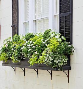 a window box filled with plants on a window sill at Cockfosters executive Mews in Barnet