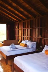 two beds in a room with wooden walls at ARENAL ROCA LODGE in Fortuna
