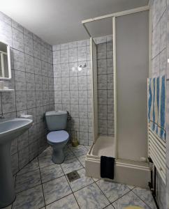 a bathroom with a toilet and a shower and a sink at Gästehaus Honigberg next to the Fortified Church of Harman in Hărman