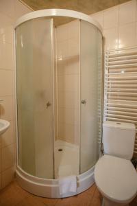 Koupelna v ubytování Dovbushanka Hotel