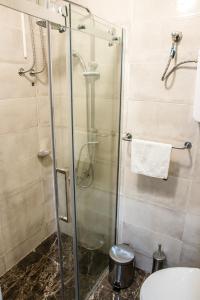 a shower with a glass door in a bathroom at 4Seasons in Sajmište