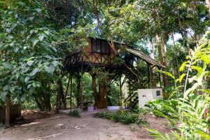una casa en el árbol en medio de un bosque en Reserva Biologica Caoba, en Bonda