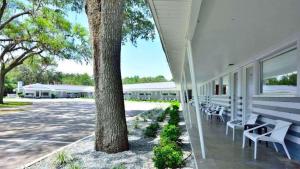 a building with white benches next to a tree at Sun Plaza Motel in Silver Springs