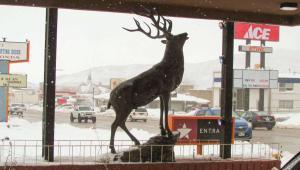 Fotografie z fotogalerie ubytování Magnuson Cedar City v destinaci Cedar City