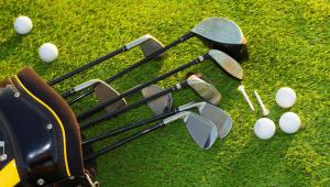 un grupo de pelotas de golf y gafas en la hierba en Motel Forrest Rockville, en Rockville