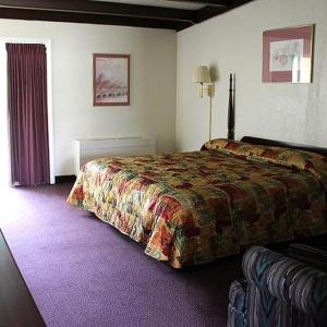a bedroom with a large bed and purple carpet at Hometown Inn Staunton in Greenville
