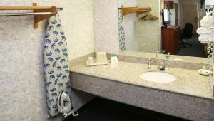 a bathroom with a sink and a mirror at Magnuson Hotel Howell/Brighton in Howell