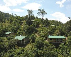 Galería fotográfica de Gorilla Hills Eco-lodge en Kisoro