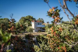 a house on a hill with trees in the foreground at Seafront Studio with direct beach access in Koroni