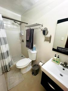 y baño con aseo, ducha y lavamanos. en Cozy Studio Retreat with Private Parking and FREE Laundry, en Ponce