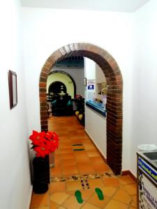 Η κουζίνα ή μικρή κουζίνα στο Hotel Casa Oasis