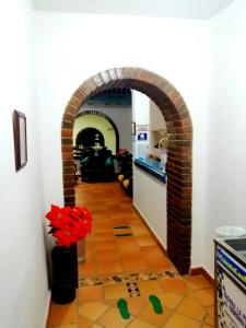 Gallery image of Hotel Casa Oasis in Zapatoca