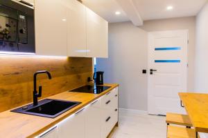 Kuchyňa alebo kuchynka v ubytovaní Apartament Salamandra