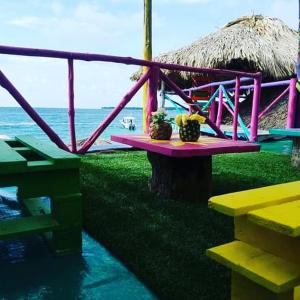 uma mesa de piquenique com flores ao lado do oceano em The Wizard & Bar BARU em Playa Blanca