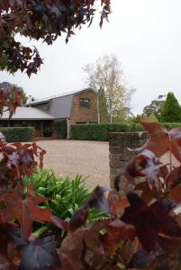 a view of a house from a garden with autumn leaves at Yallambee B&B in Bundanoon