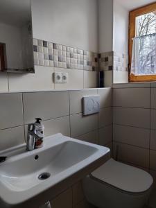 Koupelna v ubytování Chalupa v Okrouhlé Radouni