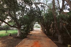 a brick walkway with trees in a park at 90 On Wellington Cottage in Port Elizabeth