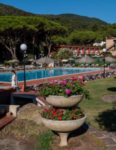 The swimming pool at or close to Hotel Desiree