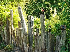a wooden fence with birds on top of it at Familie Heisch - Gemütliches Ferienhaus mit Terrasse und Strandkorb in Schafflund