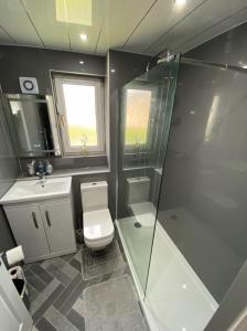 een badkamer met een douche, een toilet en een wastafel bij Prime Commuter Executive Apartment Dunfermline in Dunfermline