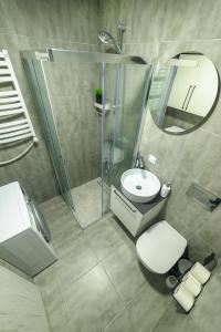 ein Badezimmer mit einem WC, einem Waschbecken und einem Spiegel in der Unterkunft Vėjūnė in Pervalka