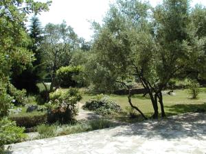 Príroda v okolí apartmánu
