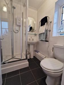 a bathroom with a shower and a toilet and a sink at AnchorageWells Harbour Apartment in Wells next the Sea