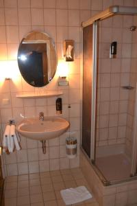 een badkamer met een wastafel en een douche met een spiegel bij Hotel Walfisch in Haßfurt