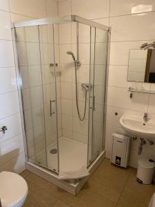 La salle de bains est pourvue d'une douche, de toilettes et d'un lavabo. dans l'établissement Ferienweingut Peter-Jos. Hauth, à Bernkastel-Kues