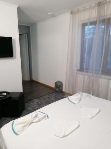 TV a/nebo společenská místnost v ubytování Hotel Hobby