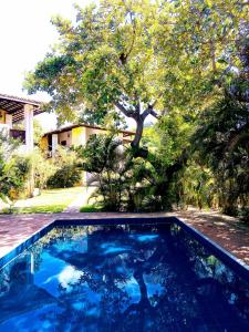 uma piscina azul num quintal com uma árvore em Apartamento Hibiscus Condomínio Village Praia Imbassai em Imbassaí