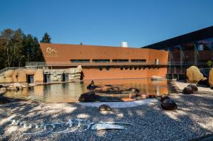 a group of ducks in a pond in front of a building at Art Hotel in Wrocław