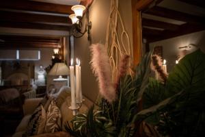 Kép The lemon tree szállásáról Vilaflorban a galériában