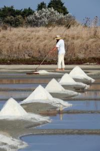 a man is using a broom to clean the water at Hôtel Restaurant & Spa Plaisir in Le Bois-Plage-en-Ré