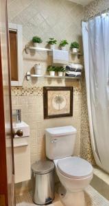 a small bathroom with a toilet and a sink at Mejor zona de Santo Domingo y Privado in Santo Domingo