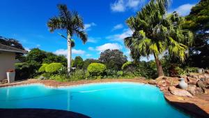 a swimming pool in a yard with palm trees at Queenz Bed & Breakfast in Durban